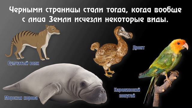 Виртуальная прогулка "По страницам Красной книги"6+ смотреть онлайн