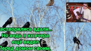 А ГРАЧИ УЛЕТЕЛИ (МИНУС)