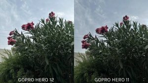 GoPro Hero 12 Black Vs GoPro Hero 11 Black Camera Leaks & Comparison