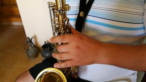 Yamaha Saxophone YAS-23