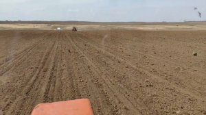 Самодельная сеялка на трактор Т-25. Каткование пшеницы