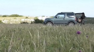 Лимонник крымский