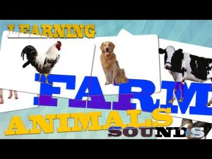 FARM ANIMALS & THEIR SOUNDS Glenn Doman educational video