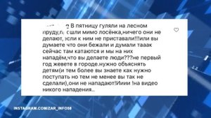 Чем закончилась встреча людей и лосей в зоне отдыха «Солнечная»?