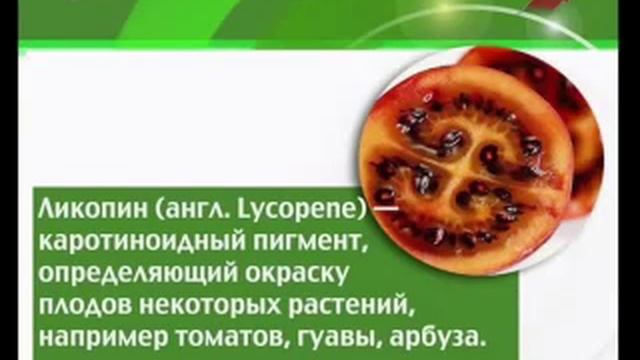 Полезные свойства помидоров видео смотреть онлайн