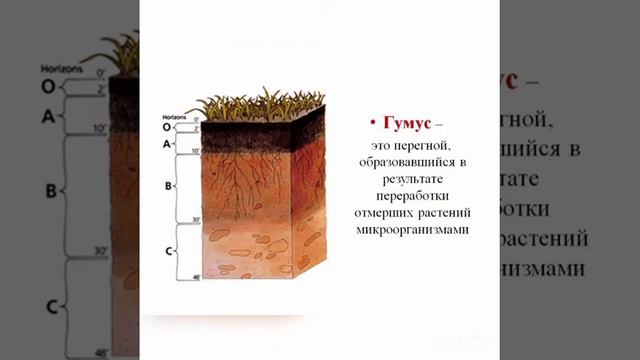 Технология 5 класс смотреть онлайн