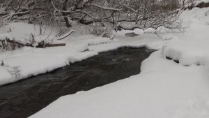 Санкт-Петербург Зимний ручей