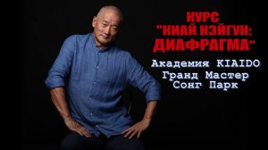 Фрагмент семинара Киай Нэйгун-Диафрагма: Методы работы с Диафрагмой и виды упражнений
