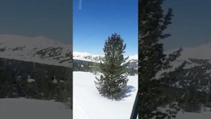 Алтай прекрасен! 💯 Горы Алтая. 🏔 Алтай кожондор 👈