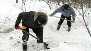 Внедорожники Алтая (Видео)