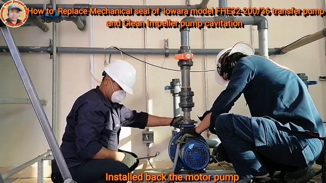 How to Replace Mechanical Seal of Lowara Transfer pump, and Clean the Impeller from cavitation| смотреть онлайн