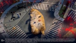 Реклама МТС Защитник " QR Кот защитник "