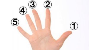 17 ноября / Сколько океанов на земле?