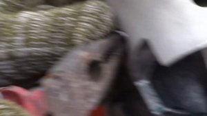 Восход3м01 200кубов/Сборка поршневой/подготовка к запуску/Часть 1