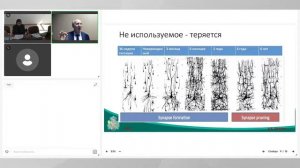 Шошмин А.В. Биопсихосоциальная модель и ранняя помощь