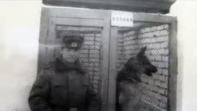 Пограничная 1986