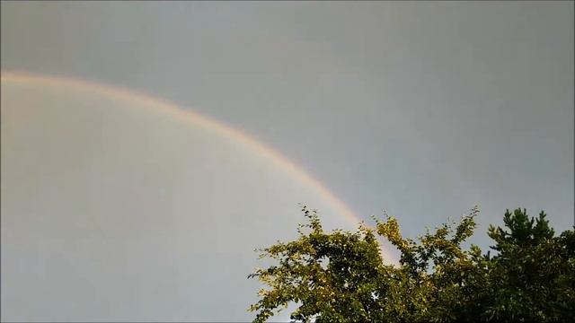 Розы на даче, радуга и розы. смотреть онлайн