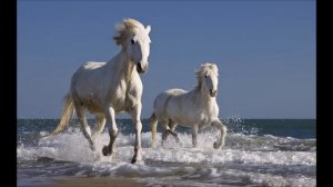 А роки летять