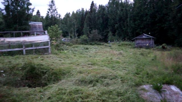 Дачный участок в Педасельге. Суббота, 20 июля 2024 г