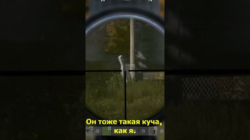 dayz1