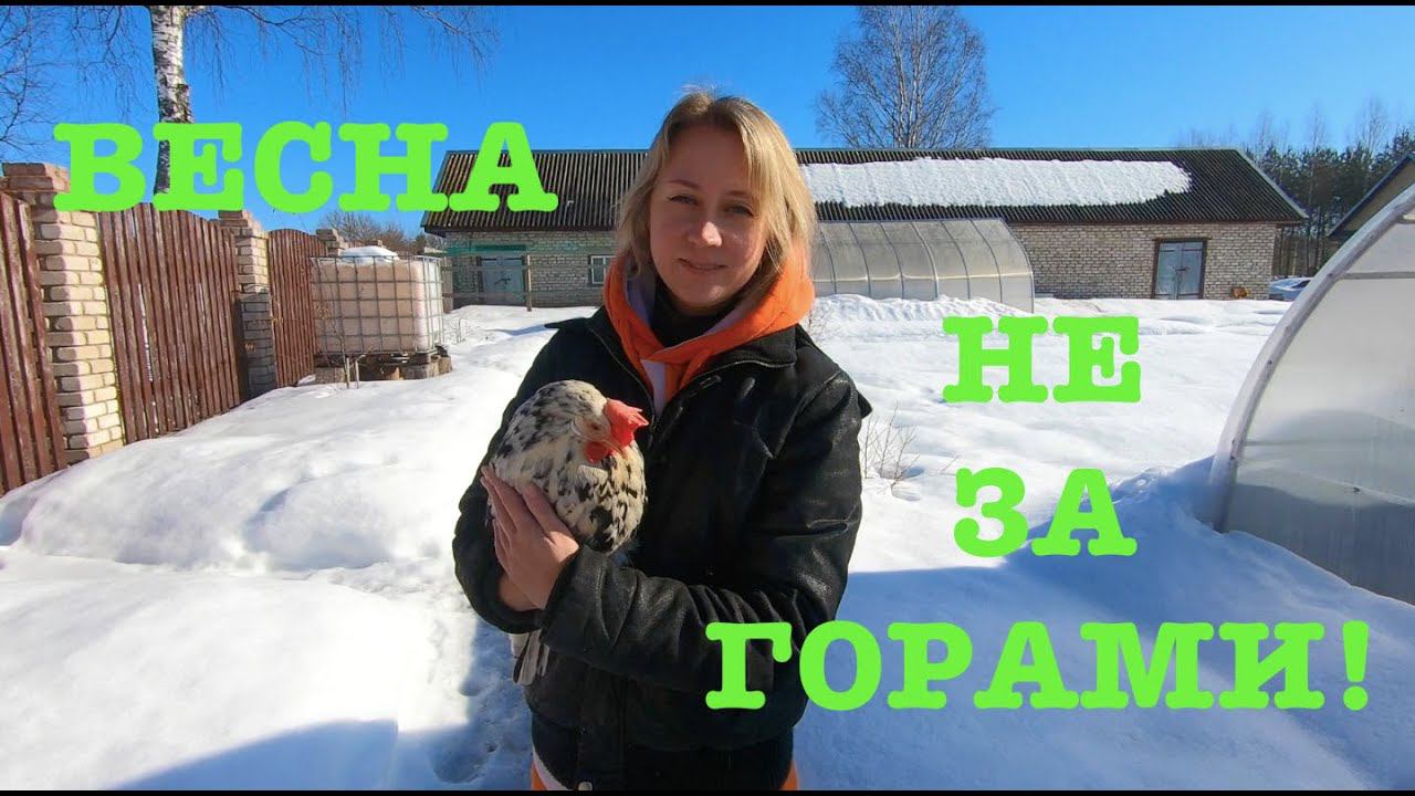#142. Весеннее настроение!:) На месте не сидим. [Жизнь на своей земле] смотреть онлайн
