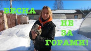 #142. Весеннее настроение!:) На месте не сидим. [Жизнь на своей земле]