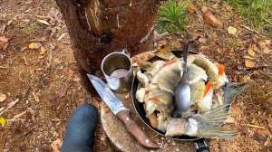 Муж  варит уху на костре. Уха из окуней и щуки❤️