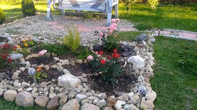 АЛАЯ ПИОНОВИДНАЯ РОЗА/ЧАЙНОГИБРИДНЫЕ СОРТА РОЗ смотреть онлайн