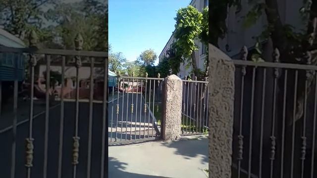 СЛАВА БОГУ ЗА ВСЕ... наставление от СТАРЦЕВ.. Протоиерей Николай Гурьянов ???.. Пусть ГОСПОДЬ ХРАНИ смотреть онлайн