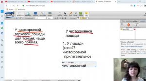 5_класс_Урок№2_Подготовка_к_контрольной_работе_по_теме_Имя_прилагательное.mp4