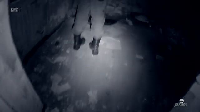 УСАДЬБА С ПРИЗРАКАМИ (НЕТ). ПАВЛИЩЕВ БОР. ЧАСТЬ 2. КАЛУГА - ДОБРОЙНОЧИ #12