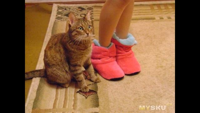 Домашние тапочки | #Обзор