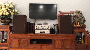 JBL L100 + Luxman 309 + Sony 555ESJ