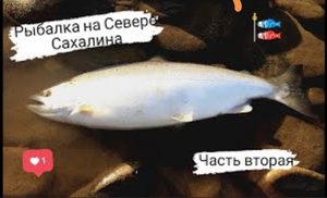 Рыбалка на Севере Сахалина. Сима. Часть вторая..mp4
