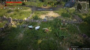 Огород гайд, прокачка, фарм Black Desert