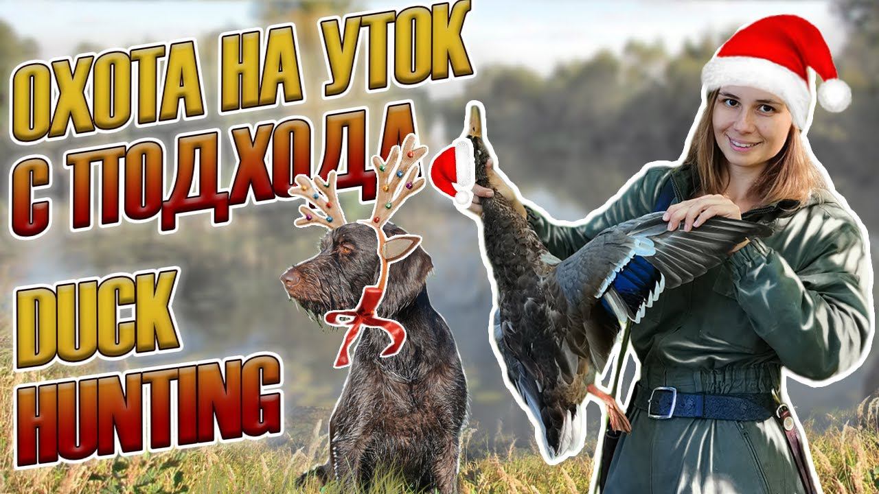 Охота на уток с подхода, девушка охотник / duck hunting, girl hunter смотреть онлайн