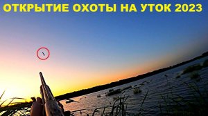 СУПЕР ОТКРЫТИЕ ОХОТЫ НА УТКУ 2023 / MAX HUNTER