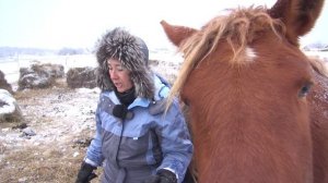 Почему наши лошади легко заезжаются.