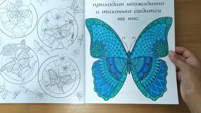Раскрашенное за месяц июнь 2020
