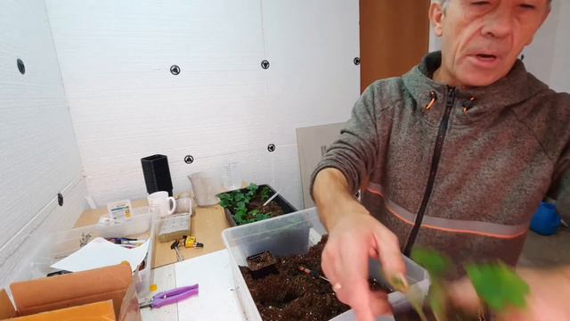 КАКИЕ УДОБРЕНИЯ лучше применять в разное время развития растений 💐.