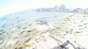 Рыбалка на Каспийском море. 2020. Тарашка.Бычок.