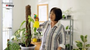 Плесень С Грунта На Рассаде И В Горшках С Цветами Полностью Исчезает После Этих Мер!