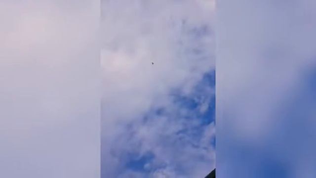 Kuşcu dadaş ensar keskin almanya Iyi seyirler смотреть онлайн