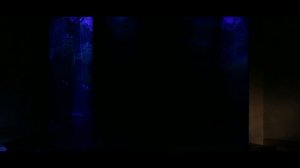 "Ослиная шкура" реж. Марина Королькова