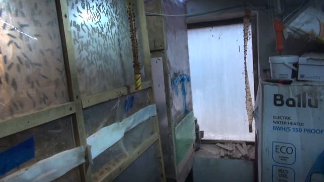 Глюкоза для черной львинки. Пчелы.