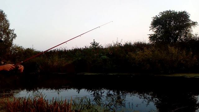 Утренняя рыбалка на спиннинг ! смотреть онлайн