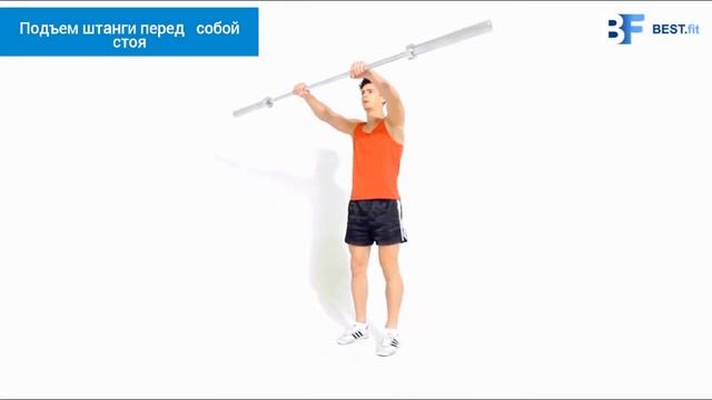 Подъем штанги перед собой стоя смотреть онлайн