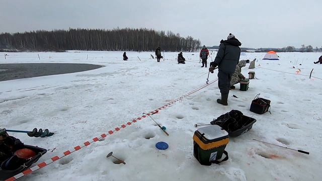 ВЕСЕЛУХА НА ЗАПУСКЕ.#ловляфорелизимой#форель#рыбалканафорель