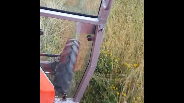 IMT 539 4x4 + wirax 1,65 roto kosa i review смотреть онлайн