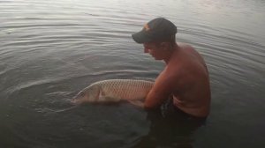 Рыбалка с.Братковское Сазан 14 +.        26 июля 2018 г.